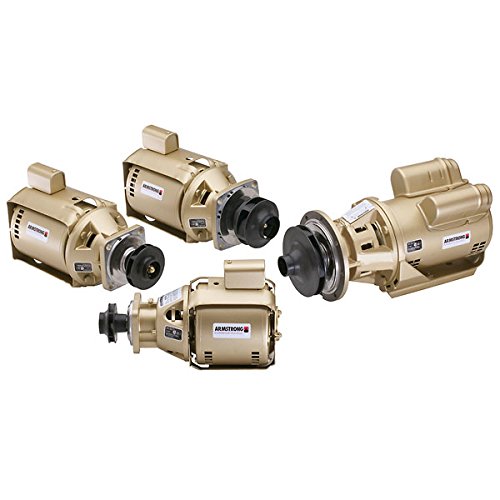 Armstrong Pumps110116-204 Armstrong Pump Less Volute Kit; S46 LV, 4.25" Impeller, 1/3 HP, 115V