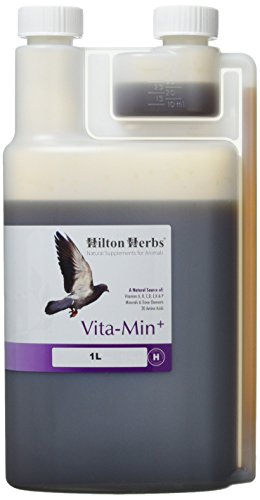 Hilton Herbs Pigeon Vita-Min Plus 1 Litre
