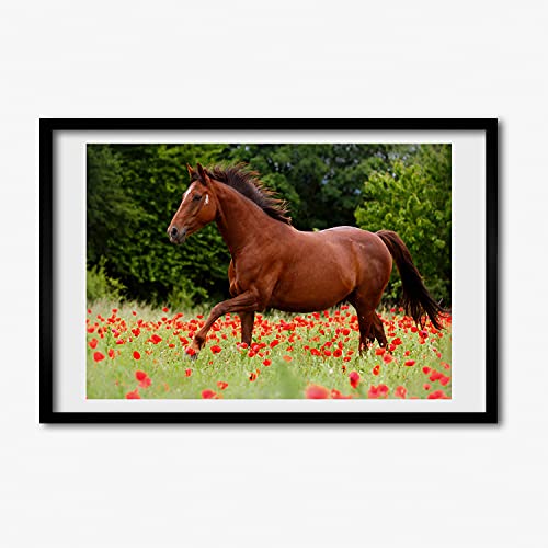 Cadre en bois decorative de qualite superieure Tulup peinture cheval moderne 60x40 cm