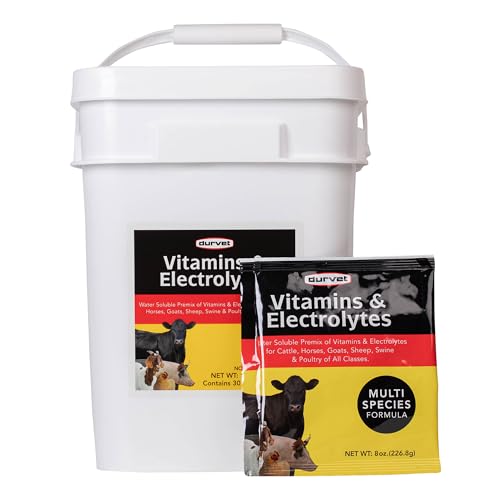 DURVET 136028 Vitamins & Electrolytes 8 oz