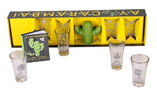 Télécharger Coffret Ay, caramba!: 15 mini-cocktails autour de la Tequila Livre PDF Gratuit
