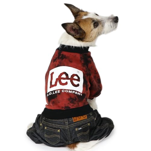 ybgp_CX   H pc Ȃ Lee ^C_C fj p[X yQl DS 炢_bNX (`5kg) ybgp_CXcX72XܓWJ2025/10/1_z K