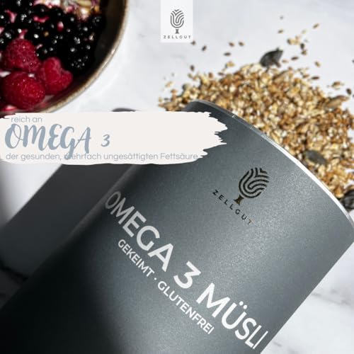 gekeimtes OMEGA-3 Müsli • 100% Rohkost • Basisch • reicht an Omega-3 • glutenfrei • vegan • Bio