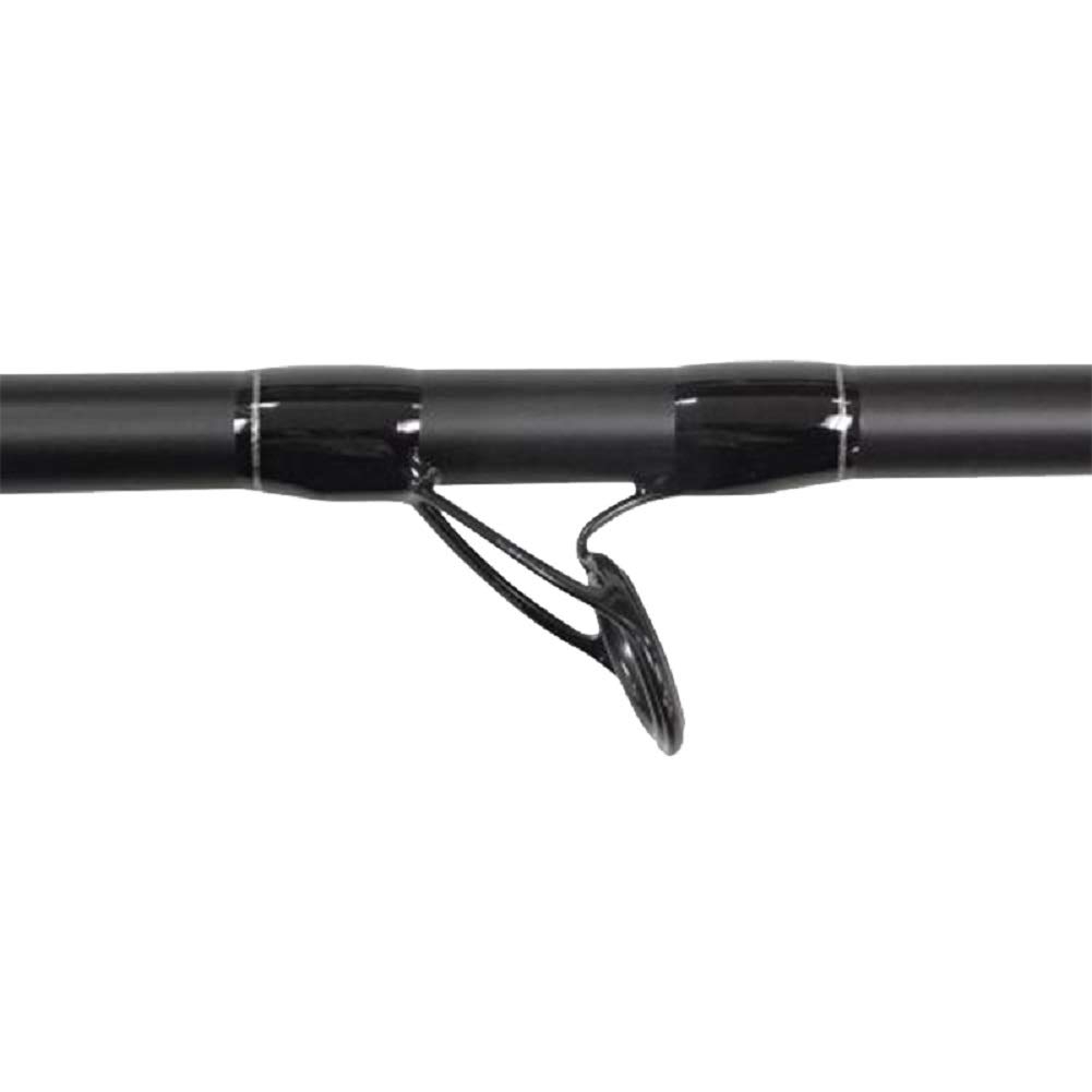 Amazon.com : SHIMANO SpeedMaster Surf Spinning Rod, 12'0, Medium Heavy :  Sports & Outdoors