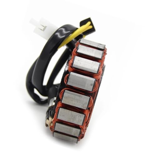 Bobine de stator MF06 NSS250 haute conductivité pour stabiliser l'allumage électrique