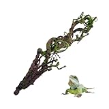 BNOSDM Reptile Bend-A-Branch Vines with Moss,Bendable Reptile Jungle Vines,Bearded Dragon Climbing Plants Tank Accessories,Pet Habitat Decor for Chameleon Geckos Snakes Lizards Frogs