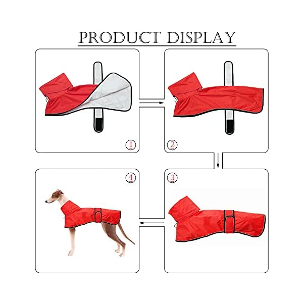Dog Jacket Adjustable Lightweight Raincoat with Reflective Straps and Harness Hole Best Gift for Greyhounds, Lurchers and Whippets -Red-XXL Dog Jacket Adjustable Lightweight Raincoat with Reflective Straps and Harness Hole Best Gift for Greyhounds, Lurchers and Whippets -Red-XXL