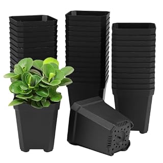 WhizNook godets carrés noirs 5,5 cm lot de 100