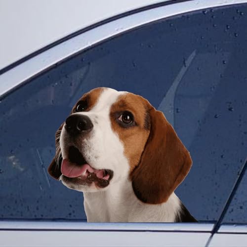 Image of Beagle Car Window Stickers - Animal Pet Decal Vinyl Car Decal Bumper Sticker for Car Window Rear Gift to Dog Lover