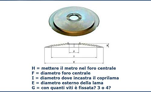Lame per affettatrice rasspe 300-40-3-245 h 17 C45 Made in Italy