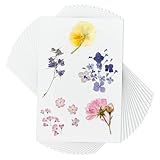 OLYCRAFT 50 Packung Löschpapier Für Blumenpressen 26x38cm Weiß Herbarium Presspapier Wiederverwendbares Löschpapier Löschpapierblätter Für DIY Blumenkonservierungs Und Kunstprojekte – 0.4mm Dick