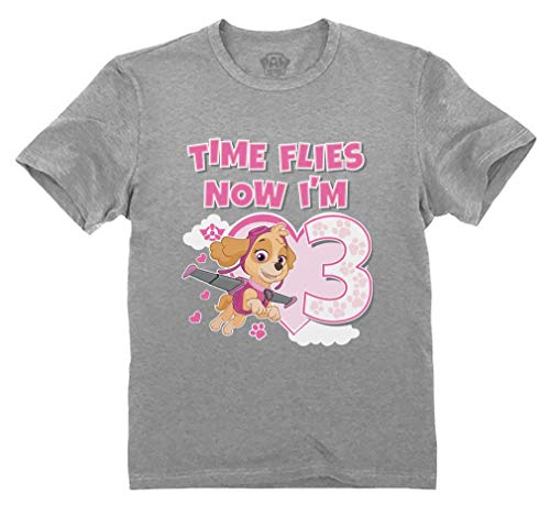 Tstars Time Flies Skye 3rd Birthday Gift Toddler Kids T-Shirt Paw Patrol Birthday Girl Shirt 4T Gray