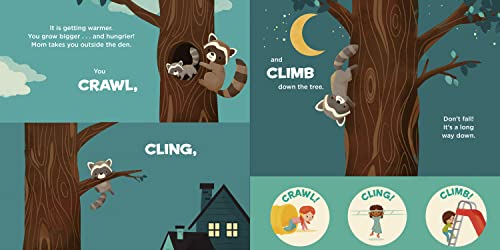 You Are a Raccoon! (Meet Your World) - Image 3