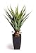 Produktbild Best Artificial Künstliche Aloe Vera, 70 cm, für den Innenbereich, Büro, Wintergarten, Garten, tropisch
