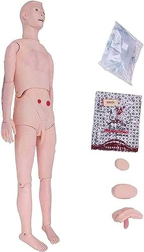 Ganzkörper-Mannequin für medizinischen Unterricht und Patientenpflege-Ausbildung