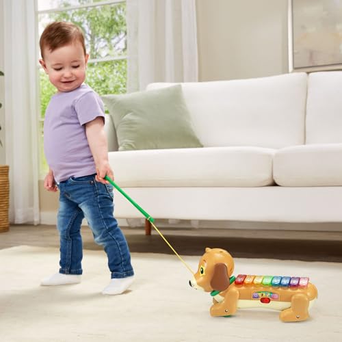 VTech Zoo Jamz Doggy Xylophone - image 6