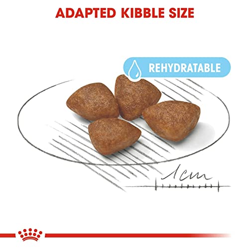 Royal Canin Mini Starter Mother & Babydog | 4 kg | Alleinfuttermittel für kleine Hunde | Trockenfutter für Hündinnen im letzten Drittel der Trächtigkeit und während der Säugezeit