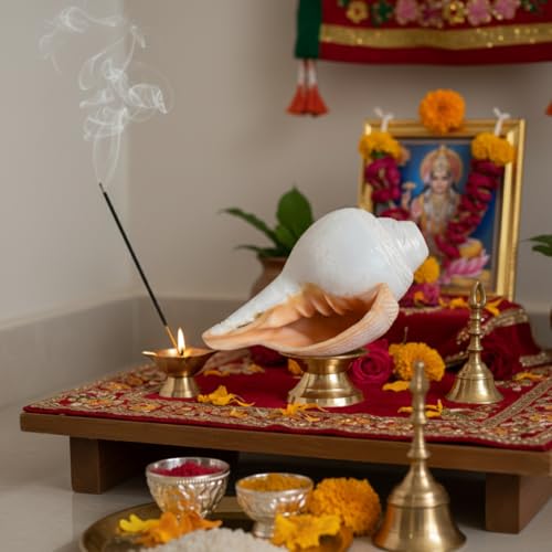 Image of Original Vamavarti Shankh for Pooja| Baynavarti Natural Conch for Puja, Temple, Home Decor, Mandir, Spiritual Use| Auspicious Loud Blowing Shankh for Vastu, Prosperity (12-15 cm)