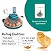 Hethya 15 Eggs Incubator with Automatic Humidity Control, Pulse Heating Temperature control, Automatic Egg Turning, Incubator for Hatching Eggs, Chick, Quail egg, with Egg Candler
