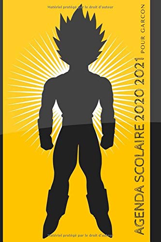 Télécharger Agenda scolaire 2020 2021 pour garcon: Agenda gamer 2020 2021 | Agenda pour garcon primaire collège Francais PDF