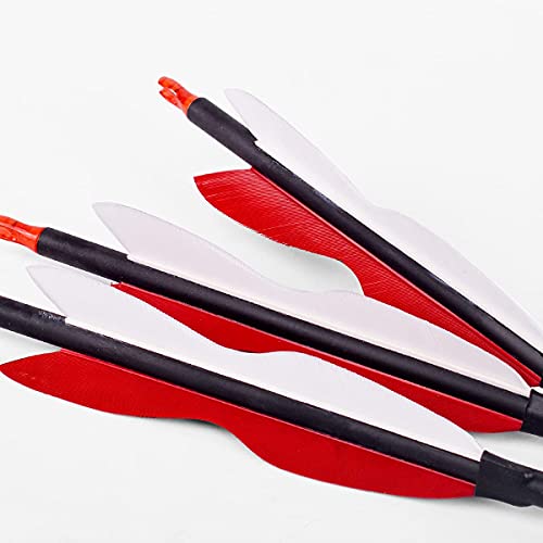 Lwano 30Inch Carbon Arrow Archery Hunting/Targeting Practice Arrows With 5" Turkey Feathers For Compound Recurve Longbow 12Pack #TOP7