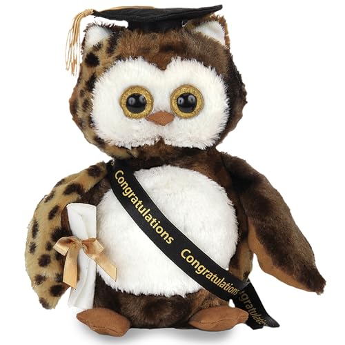 Wisdom Graduation Owl