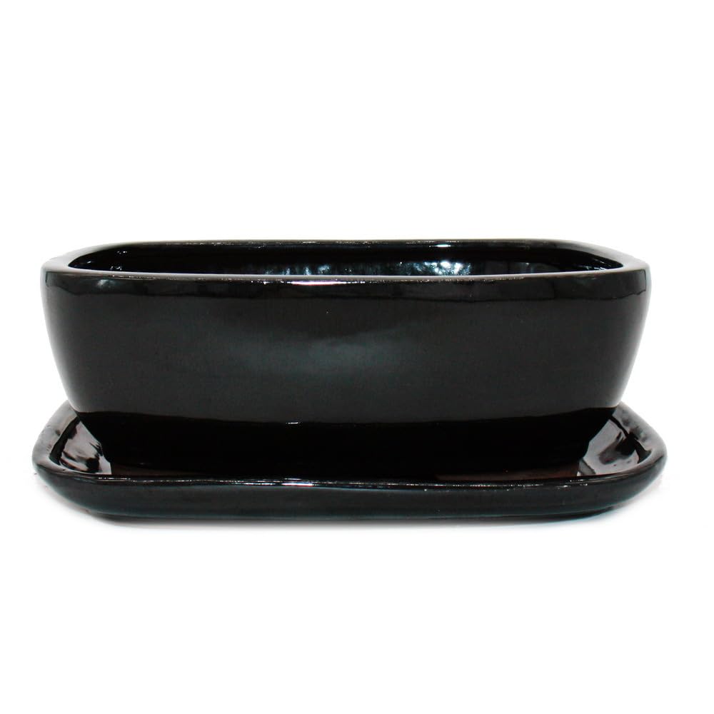 Bol à bonsaï noir anthracite avec soucoupe rectangulaire modèle GB5