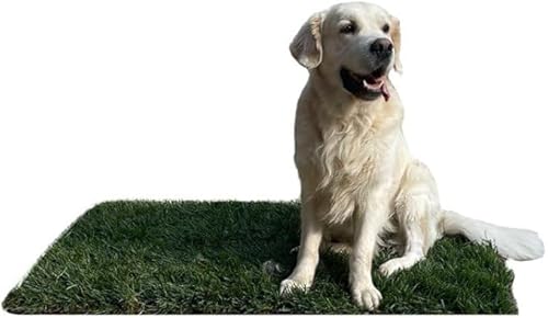 GreenZolla - L' Originale Lettiera per Cani in Erba Vera Naturale, Traversina 100% Naturale, Cuccia per Gatti in Vero Prato, Zona Gioco e Relax per Animali Misura Maxi