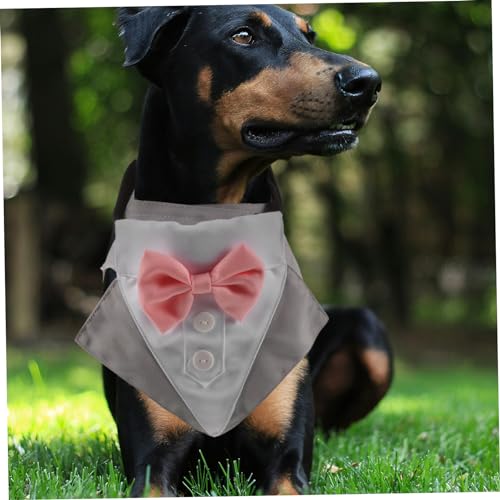 Disfraz de esmoquin para perro con pajarita y bandana miniatura 6