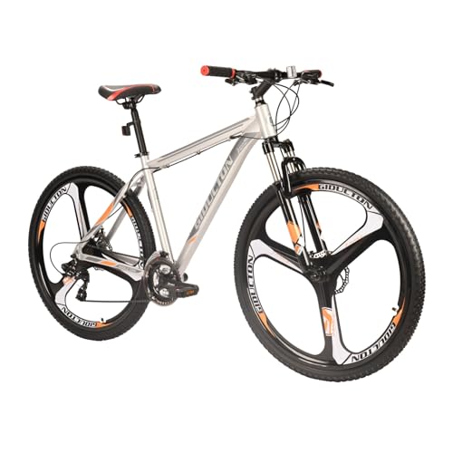 EUROBIKE X9 29er
