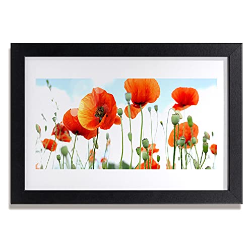 MDF murale affiche avec cadre photo image maki fleurs prairie 30x20 cm