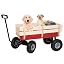 Red White Wagon