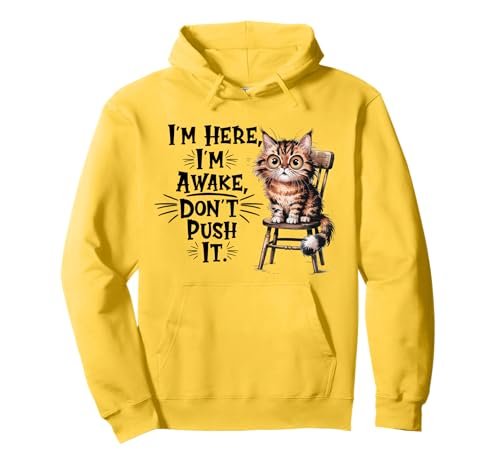 Estoy aquí, estoy despierto, no lo presiones, gato sarcástico, gato divertido Sudadera con Capucha