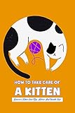  How To Take Care Of A Kitten: Discover Kitten Care Tips, Advice And Health Info: Caring For Kittens (English Edition)