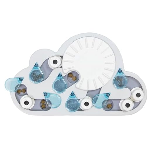 Voerpuzzel kat: 15 Voeruitdagingen die Katten echt Stimuleren 11 Petstages Nina Ottosson Rainy Day Puzzle & Play - Interactief intelligentie/snackspeeltje voor katten