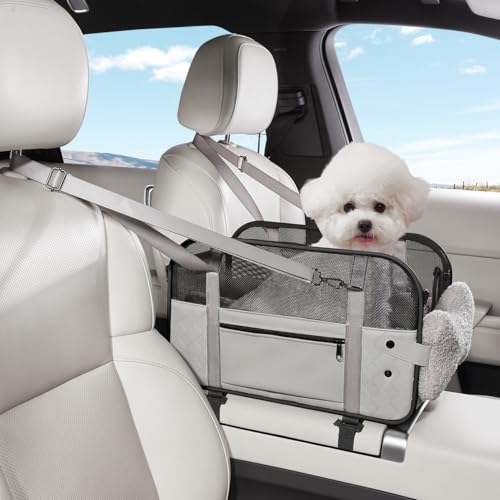 TKYZ Z^[R\[pJ[V[gAOpxbh\t@A^pLApJ[V[gAqLJ[V[g(O[)