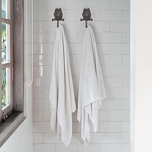 Cast Iron Owl Wall Hooks Rustic Outdoor Towel Hooks Home Hang Clothes Hats Animal Key Holder for Wall Indoor Farmhouse Decorative Hooks 2 Pcs Owl