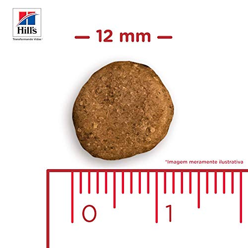 Ração Hill's Science Diet para Cães 7+ Adultos - 7,5kg
