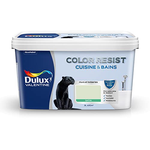 Dulux Valentine Color Resist - Peinture Intérieure Pièces Humides - Pour Murs, Plafonds, Boiseries - Lessivable et Résistante - Couleur : Tendrement Vert Satin - 2 L - 5261978