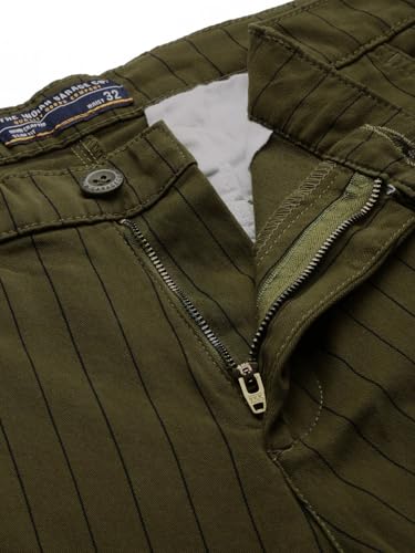 Image of The Indian Garage Co Men Slim Fit Striped Mid-Rise Stretchable Chinos