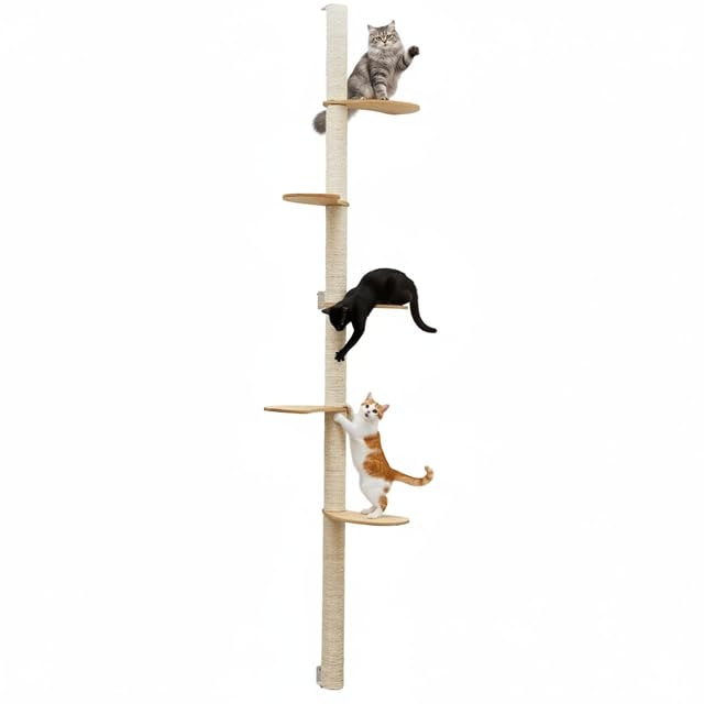 eyepower 240 cm Rascador de Pared Luna con 5 Plataformas de Bambú - Árbol para Gatos con Estanteria