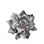 5inch/Gray