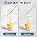 EMART 2 Pack 33inch Professional Photography Photo Video Studio Lighting Flash Translucent White Soft Umbrella