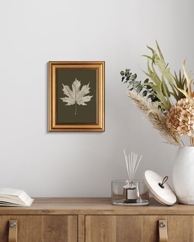 Image of VIYYIEA Vintage Gold Framed Wall Art for Living Room, Maple Leaf Canvas Prints Home Decor, Oil Painting Picture, Bedroom Wall Decor Gifts for Friends or Family -【Maple Leaf Specimen】-(10L x 8W)