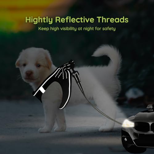 BELLA & PAL Hundegeschirr Kleine Hunde mit Leine, Step-in Geschirr aus Air Mesh, Anti Zug Reflektierend Atmungsaktiv Brustgeschirr, Welpengeschirr für Kleine Hunde, Katzengeschirr, Schwarz, S