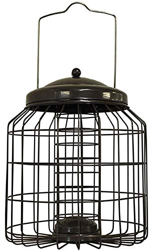 Selections Deluxe Heavy Duty Squirrel Proof Suet Fat Ball Hanging Bird Feeder Cage