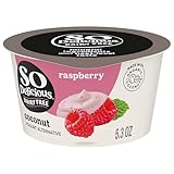 So Delicious Dairy Free Coconut Milk Yogurt Alternative, Raspberry, Vegan, Non-GMO Project Verified, 5.3 oz.