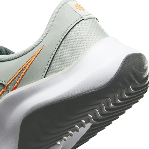 Nike Legend Essential 3 Next Nature Men's Workout Shoes (DM1120-008, Light Silver/Iron Grey/Bright Mandarin) Size 11