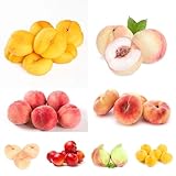 Los jardineros aprecian su aspecto elegante y esponjoso, especialmente adecuado para arreglos de jardín, ya que añade encanto al paisaje.