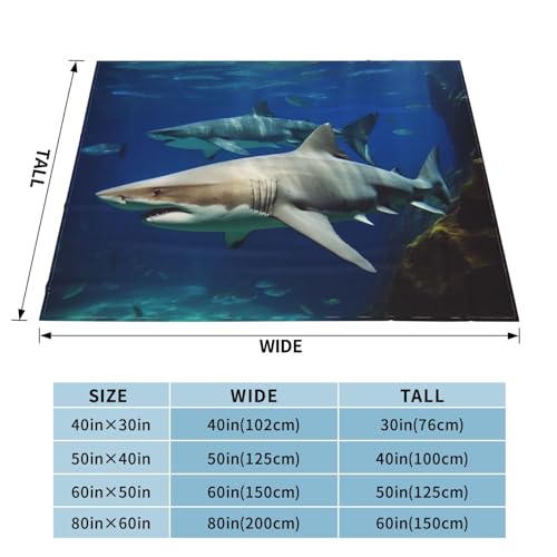 Couverture micro-polaire ultra douce toutes saisons pour canapé